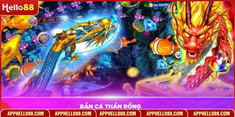 Các bước bắt đầu cuộc đi săn dưới đáy biển