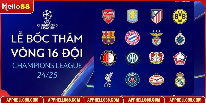 Các loại hình đầu tư thể thao được yêu thích