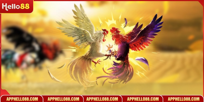 Giá trị cốt lõi kiến tạo vị thế gà thomo vip