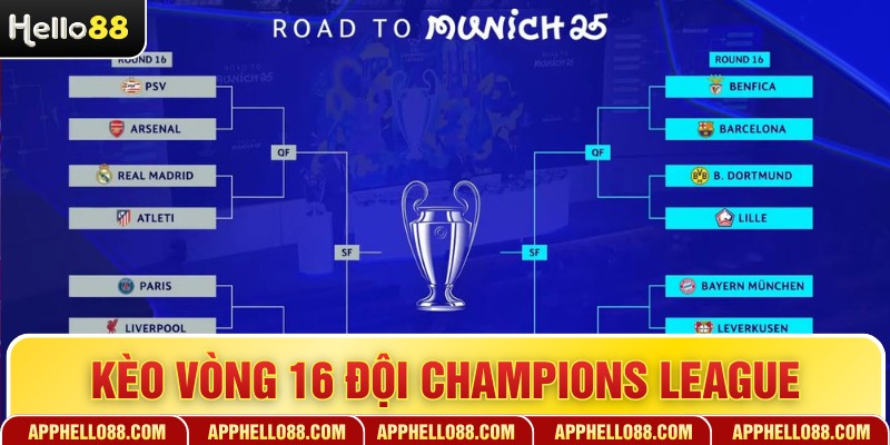 Kèo Vòng 16 Đội Champions League - Cách Soi Tỷ Lệ Chuẩn