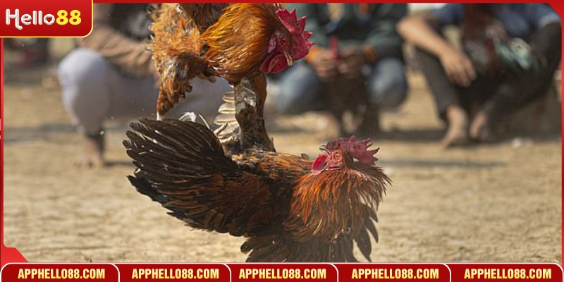 Khám phá nét hấp dẫn của trò chơi giải trí